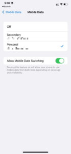 Turn Off Mobile Data Switching Option